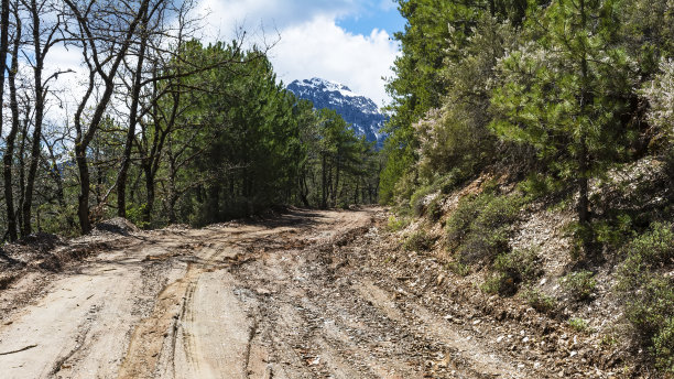 森林道路泥泞图片下载