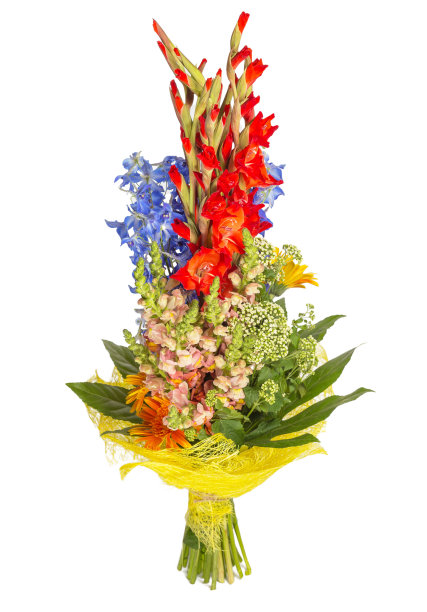 白色背景上的一束红色的花图片下载