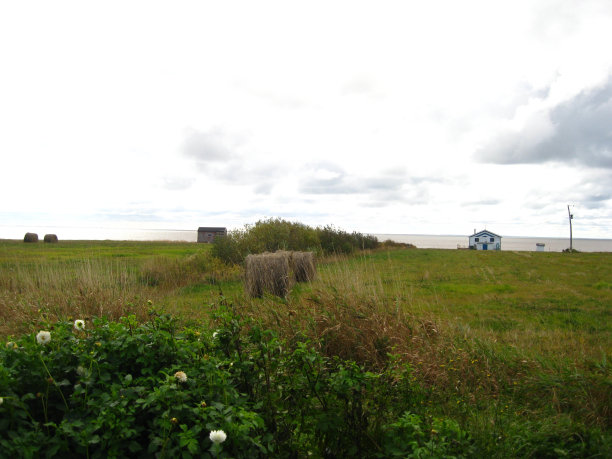 海边的干草捆图片下载