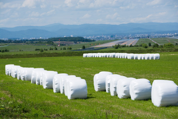 景观有草卷和机场图片下载