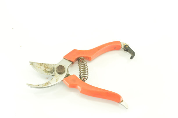 修枝剪图片下载