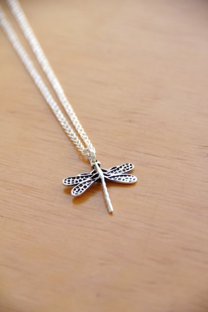 银链和蜻蜓项链图片下载
