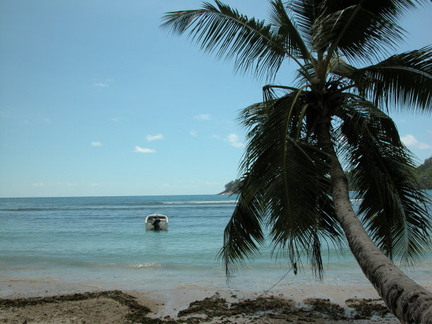 谁雇用你图片下载