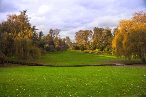 美丽的风景，长椅上的草地，金色的树木，秋天图片下载