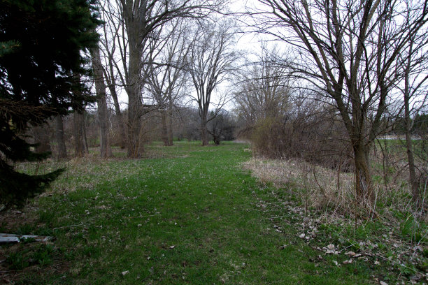 罗比ln的院子里图片下载