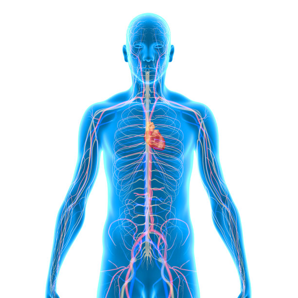 心与导航图片下载