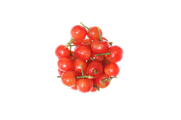白色背景下的樱桃图片下载
