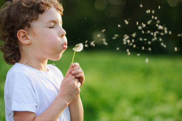 孩子在吹蒲公英图片下载