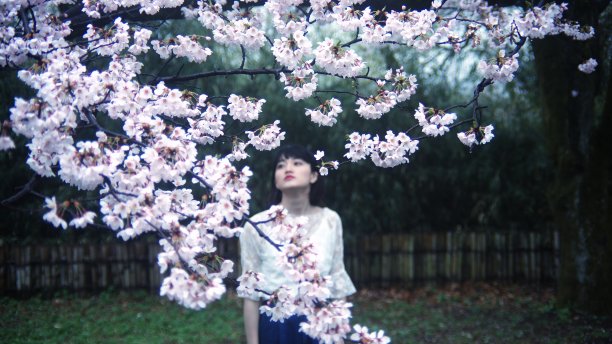 桜を見る女性图片下载