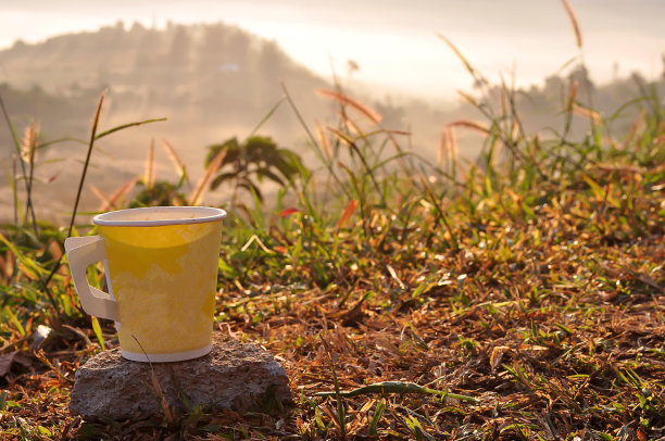 黄杯咖啡，背后是自然风光。图片下载