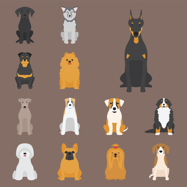 狗狗矢量图素材ID：154407682