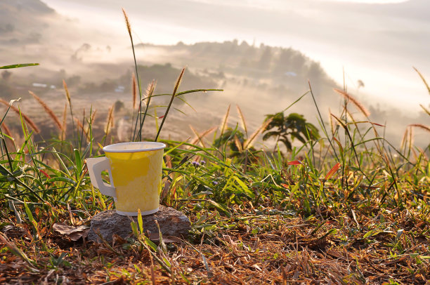 黄杯咖啡，背后是自然风光。图片下载
