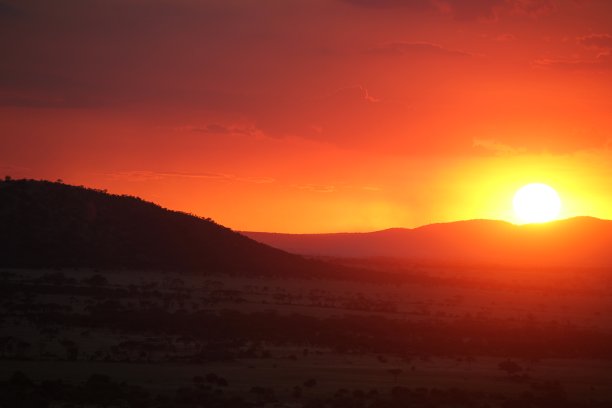 塞伦盖蒂平原的日落图片下载