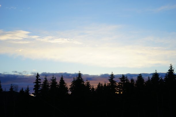 森林里的日落图片下载