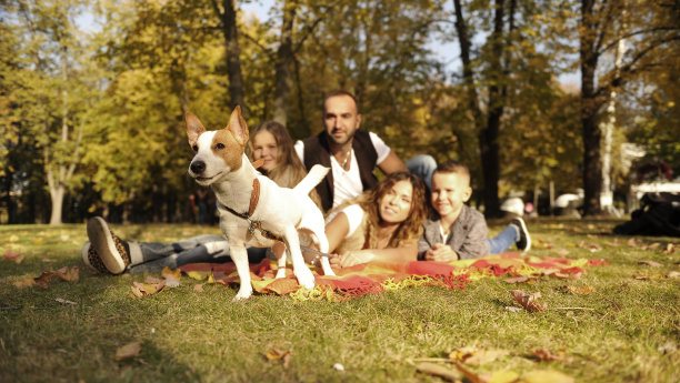 幸福的家庭在秋天的公园图片下载