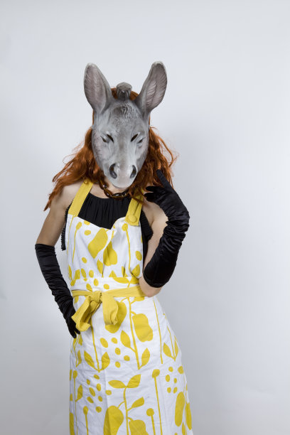 穿着晚礼服的毛驴主妇图片下载