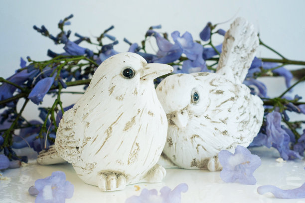 鸟与春天的花枝图片下载