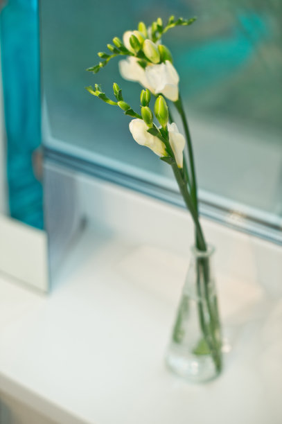 给新娘的花束。图片下载