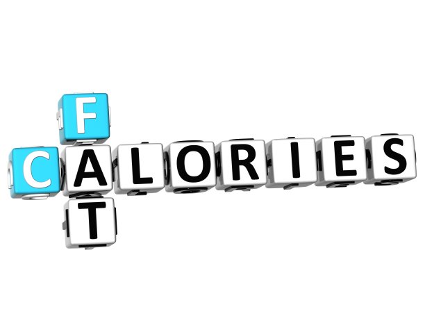 3D脂肪卡路里填字游戏图片下载