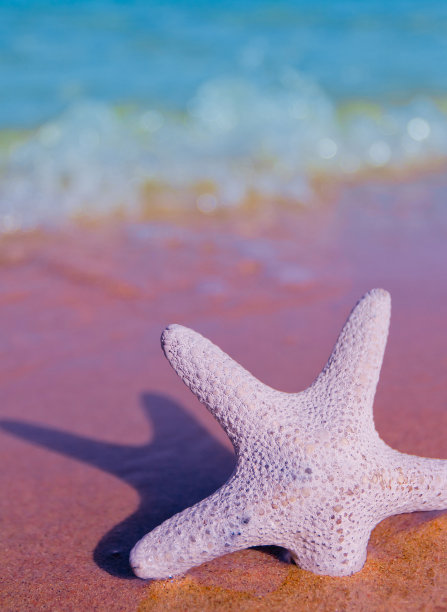 阳光明媚的风景图片下载