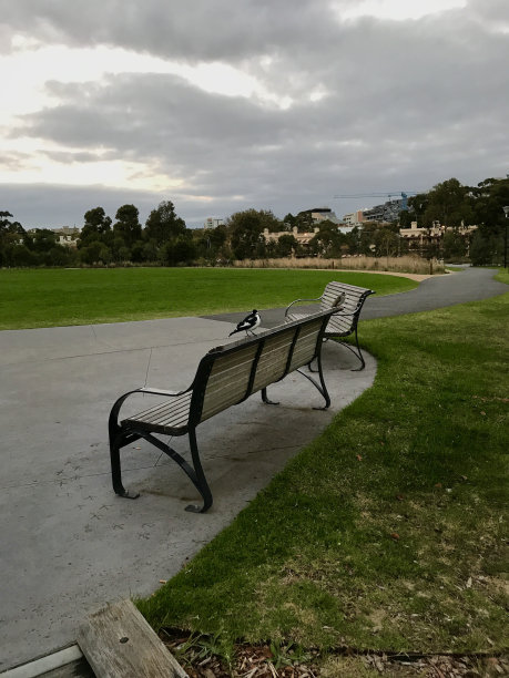 出去走动图片下载