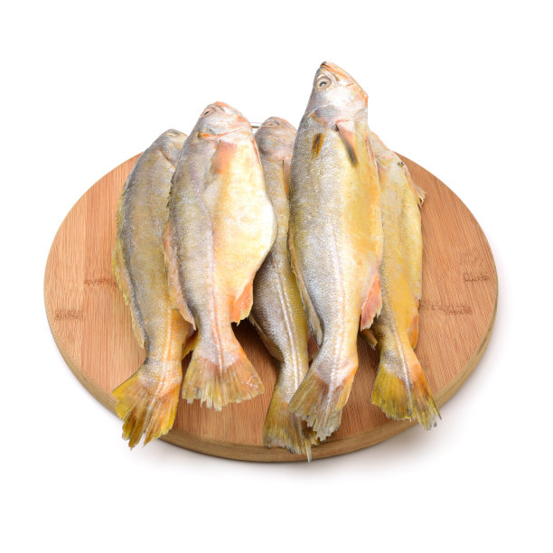 黄花鱼孤立在白色背景上图片下载