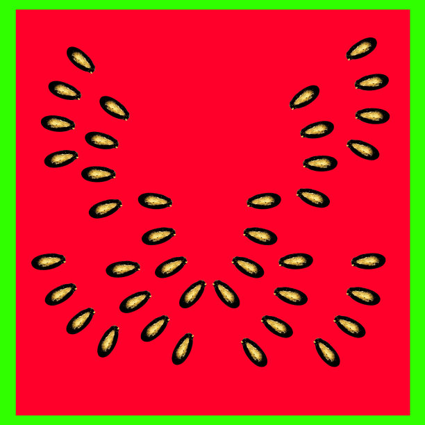 西瓜水果矢量图片下载