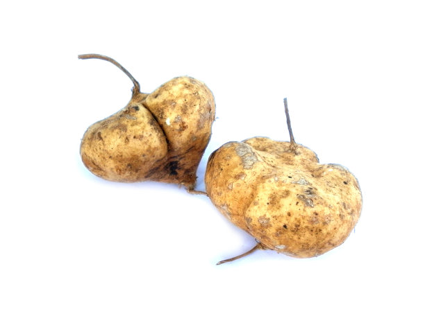 鲜果红薯白底13图片下载