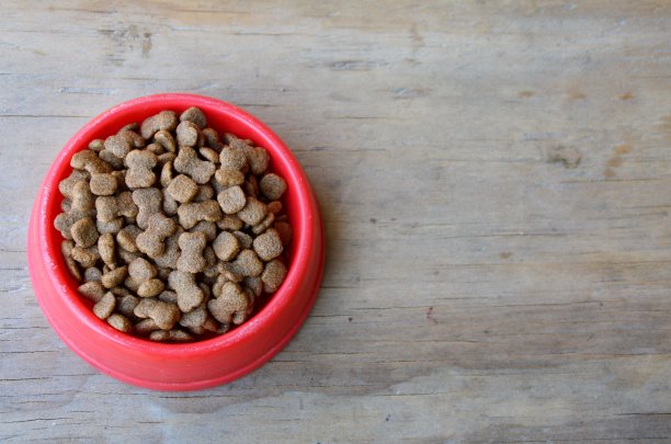 狗粮装在红色塑料碗里图片下载