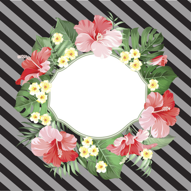 夏季热带卡图片下载