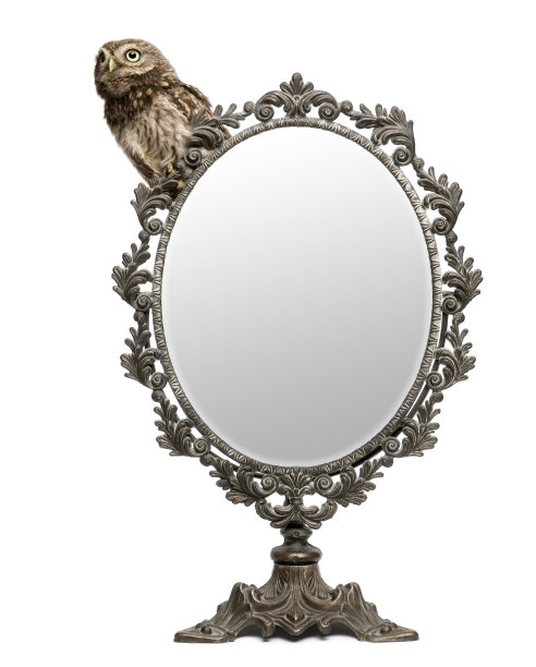 小猫头鹰雅典娜诺图亚，带着一面镜子图片下载