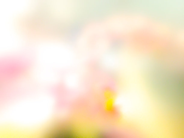 模糊的背景图片下载