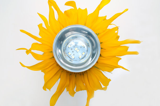 LED灯泡图片下载