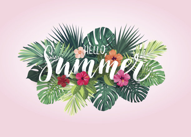 summer图片素材专题