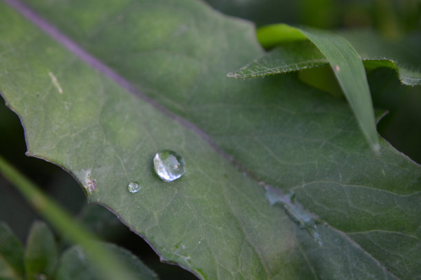 水滴图片下载