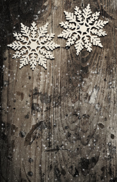 雪花在垃圾木背景。寒假的概念图片下载