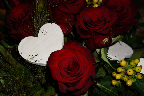 玫瑰和心脏图片下载