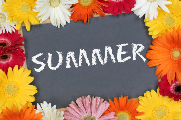 夏天在花园里用五颜六色的花板铺花板图片下载