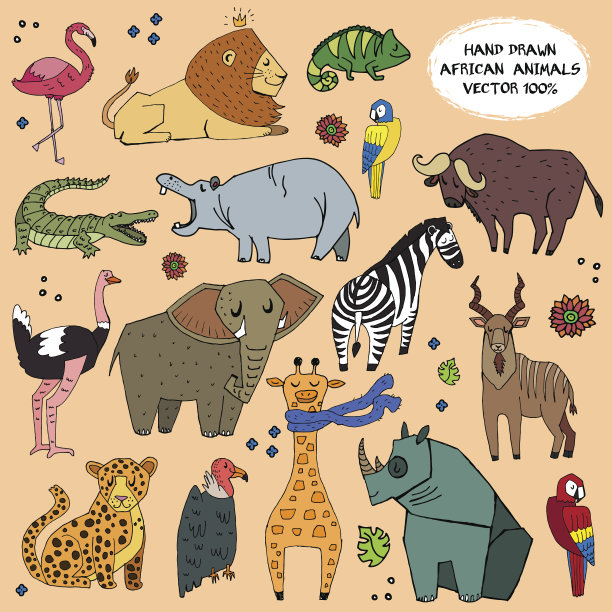 非洲动物手绘插图向量集。图片下载