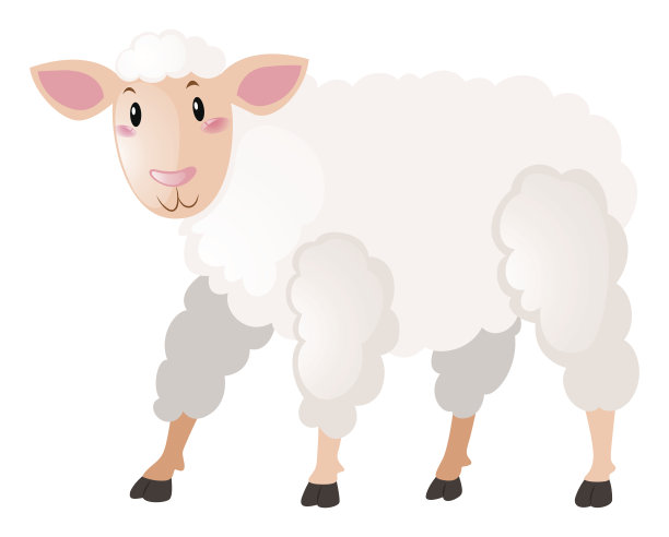 白色背景上的白色绵羊素材图片