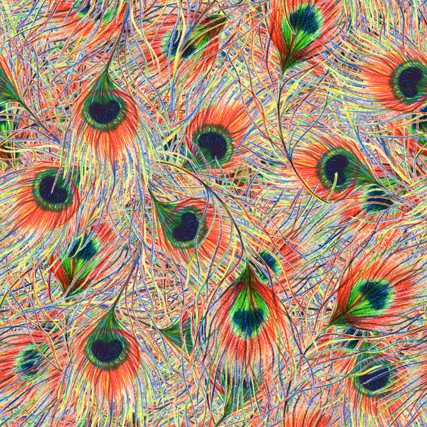 彩虹彩色孔雀鸟羽毛无缝图案背景纹理图片下载