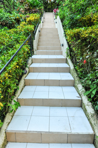 石阶通向一座热带山丘图片下载