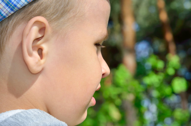 一个小男孩的脸，背景是树图片下载