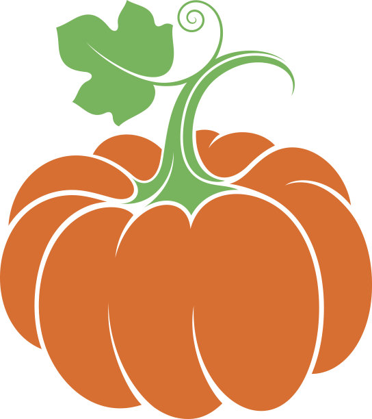 南瓜叶。白色背景上的抽象蔬菜图片下载