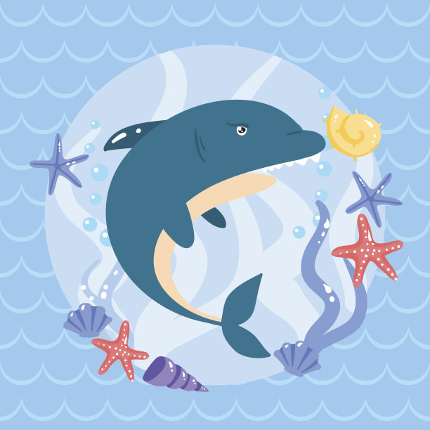 可爱的鲨鱼与海星和贝壳图片下载