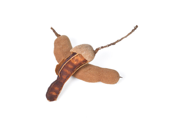 白色背景上的甜罗望子图片下载