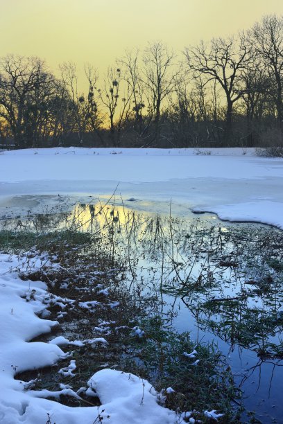 冬天的早晨图片下载