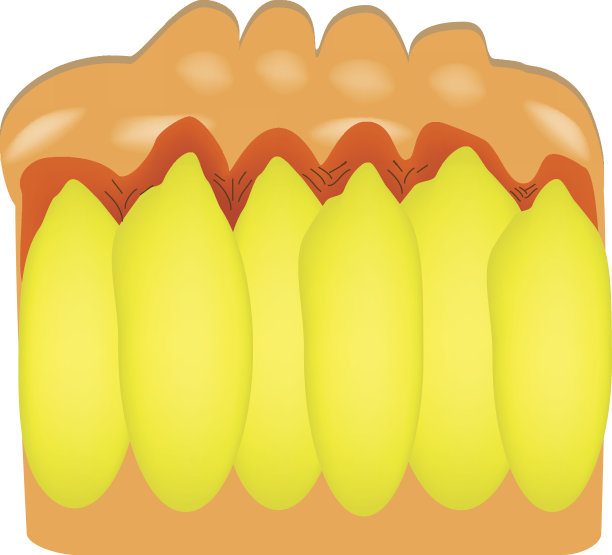 女性皮肤老化。蜂窝组织炎。信息图。矢量插图在孤立的背景图片下载