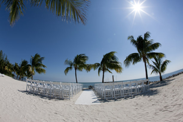 棕榈树下的椅子图片下载