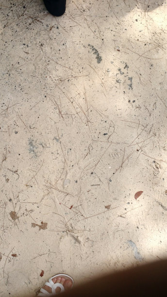 沙子上几乎看不见鞋印图片下载